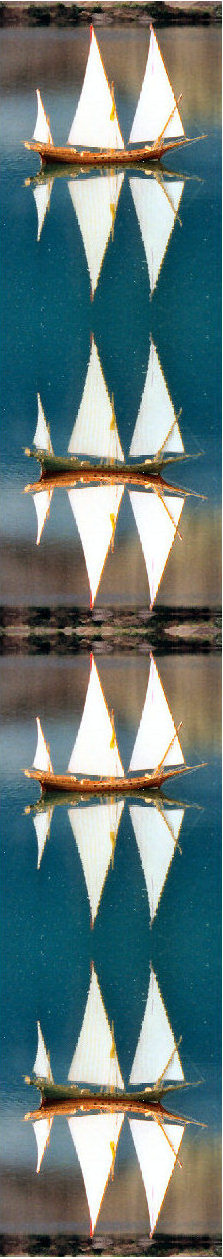 b01g.jpg
